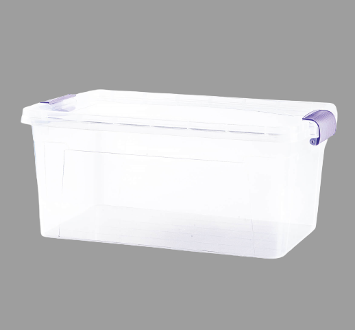 Violet 24 Lt. Family Box Saklama Kabı