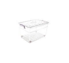 Violet 40 Lt. Family Box Saklama Kabı