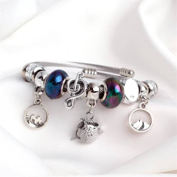 Ebruli Charm Detaylı Pandora Bileklik
