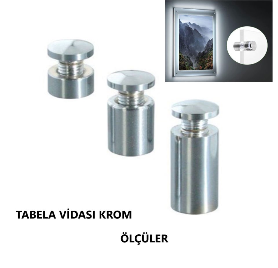 TABELA VİDASI 17X20 KROM